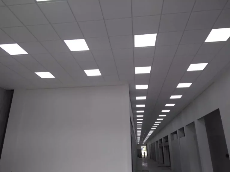 Forro Georgia Circulacao