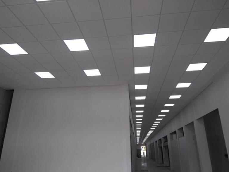 Forro Georgia Circulacao