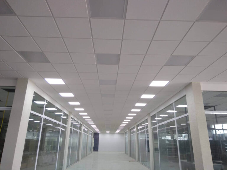 Forro Georgia Circulacao Mercado