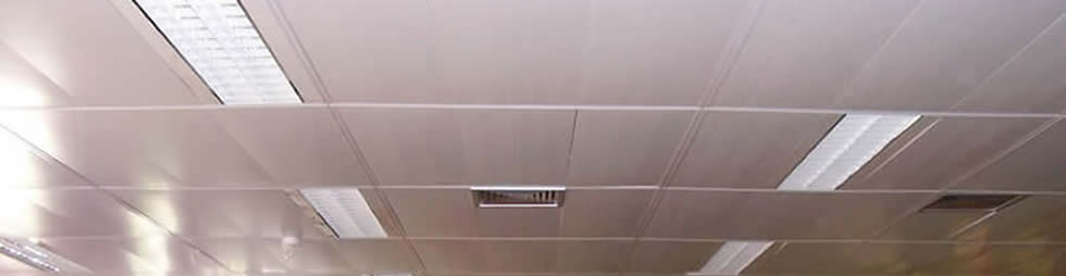 forros-salvador-bahia